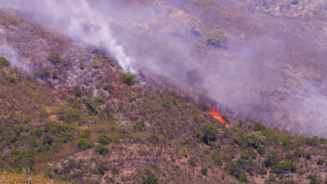 The wildfire with different sources of fire and the heat that makes the air vibrate