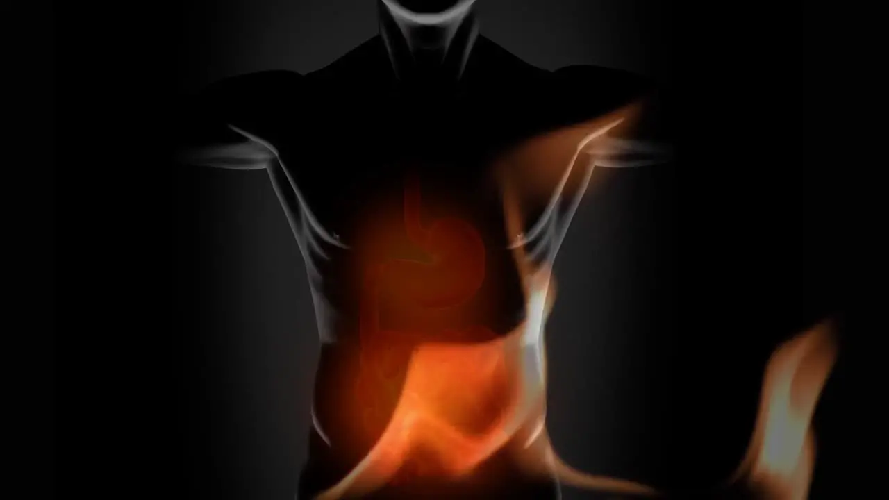 Animation of flames over human body model