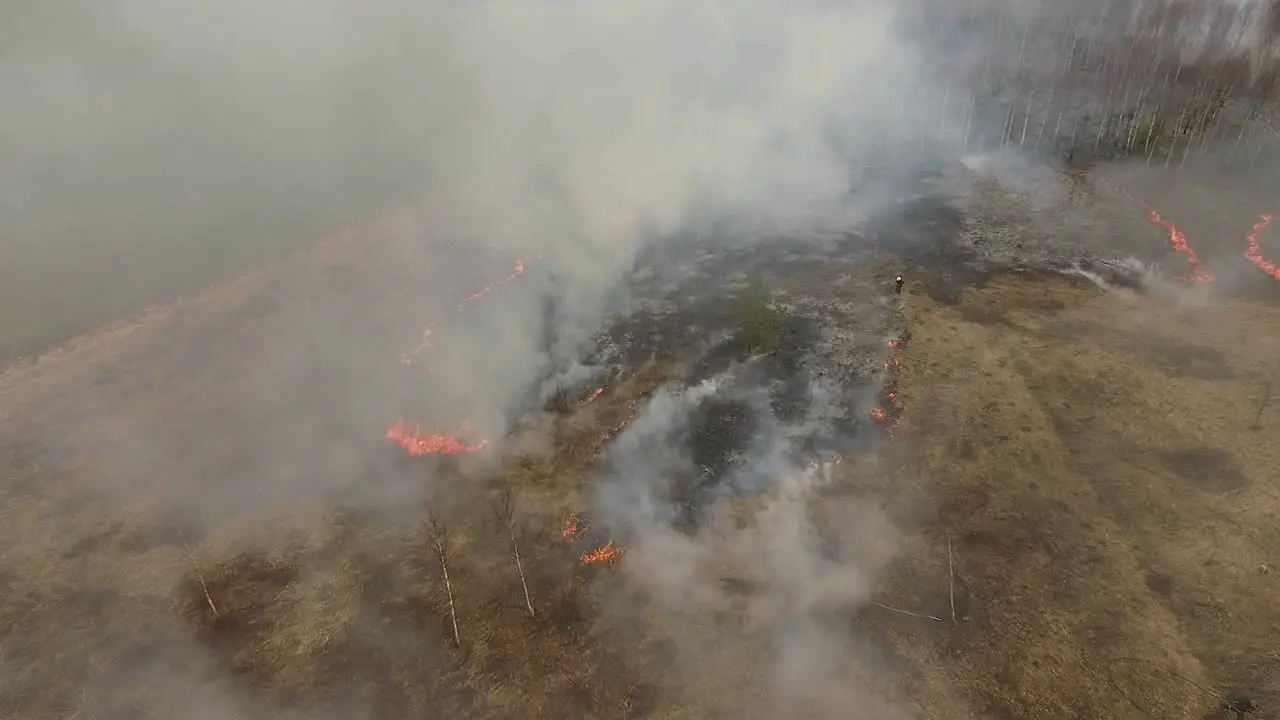 Spring dry grass wild fire in birch forest and firefighters abandoned building