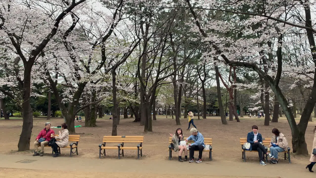 Couples sitting on benches having a rest at Yoyogi Park