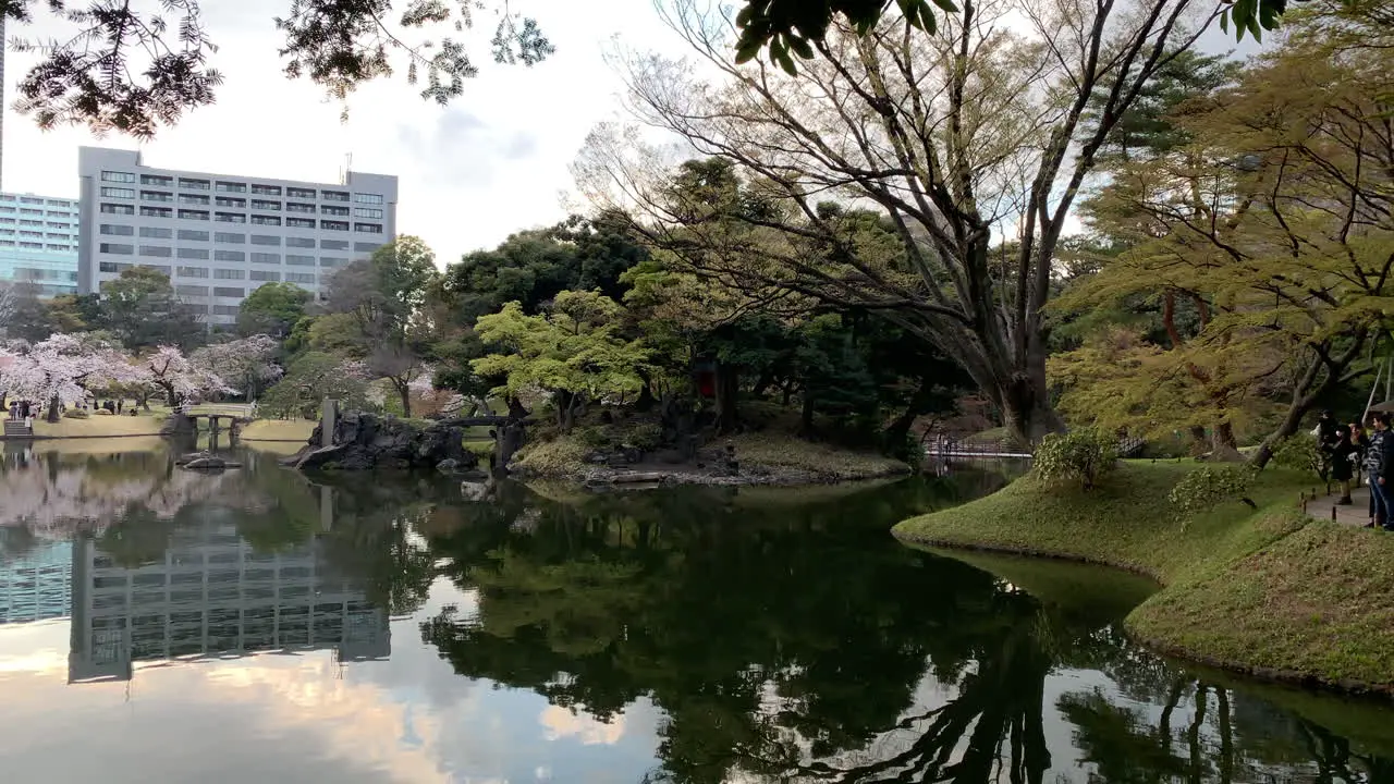 Reflection in the lake of the cherry tree green tree and building at Koishikawa Botanical Garden