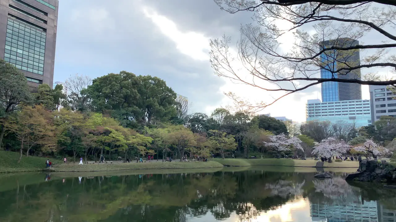 A panoramic of the Koishikawa Botanical Garden lake with cherry blossom