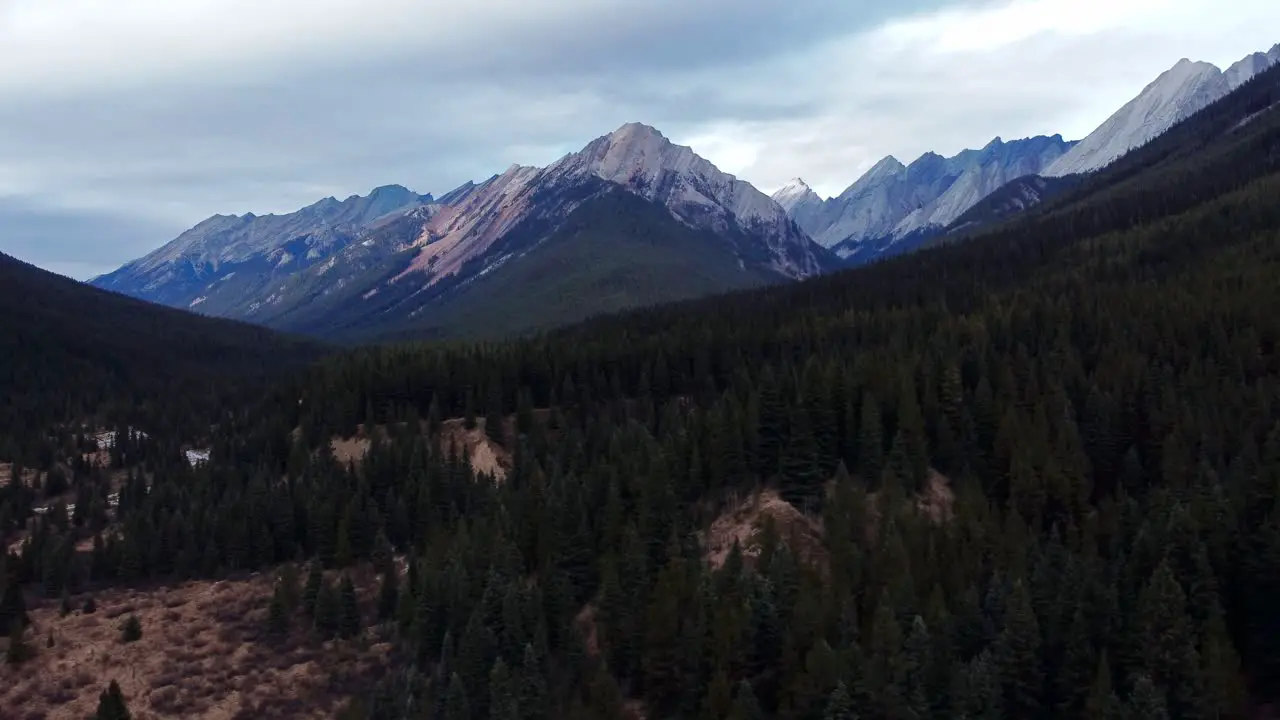 Mountain range and creek with pine tree forest tilt