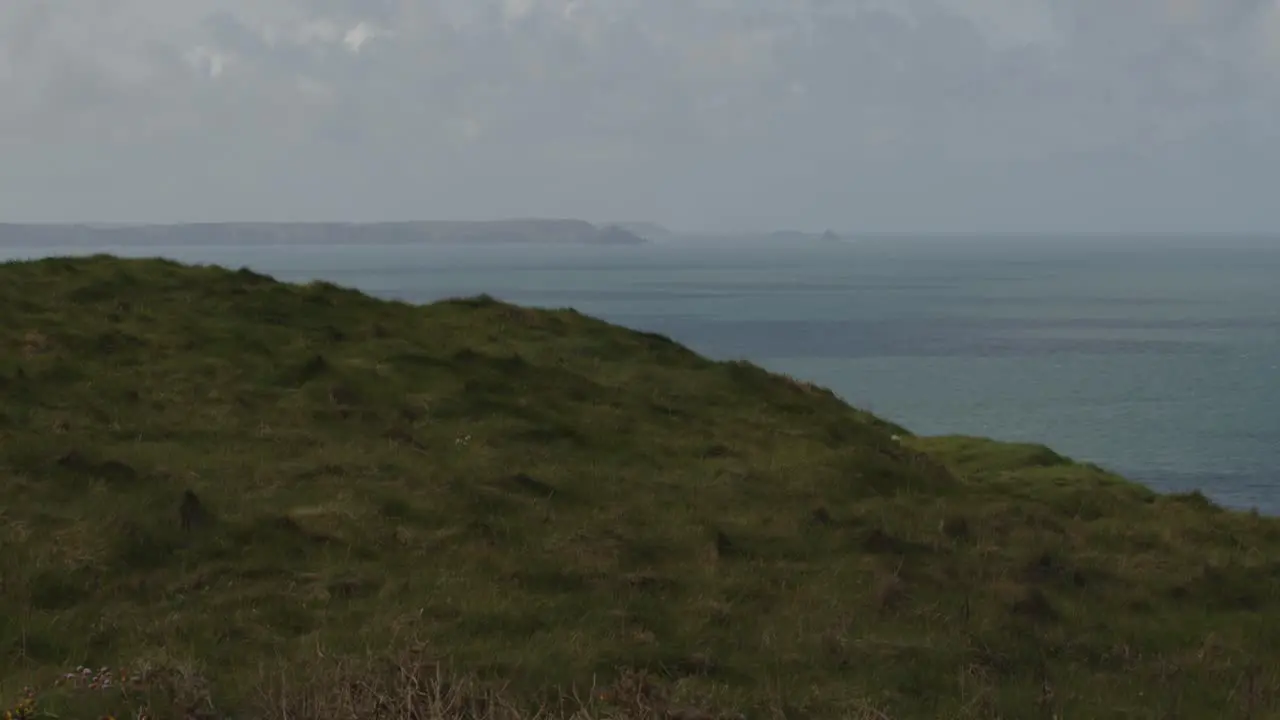 Wide shot of sea and cliffs with Port Isaac in background and Meadow in foreground