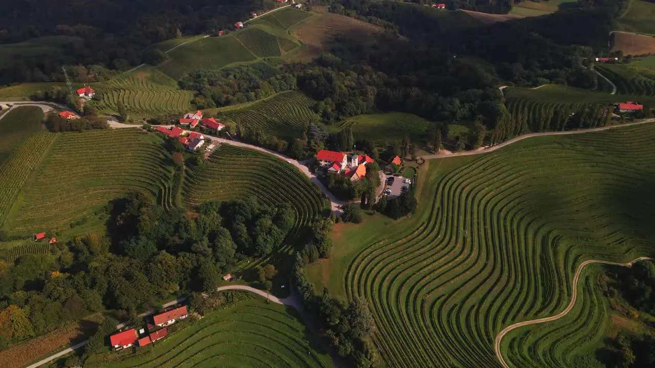 A 4K drone footage of countryside vineyard located in Slovenia