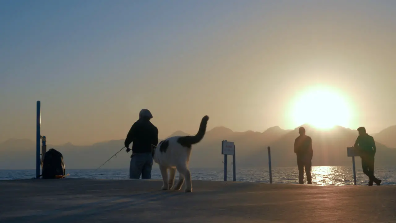 Fishermen and stray cat on the pier at sunset