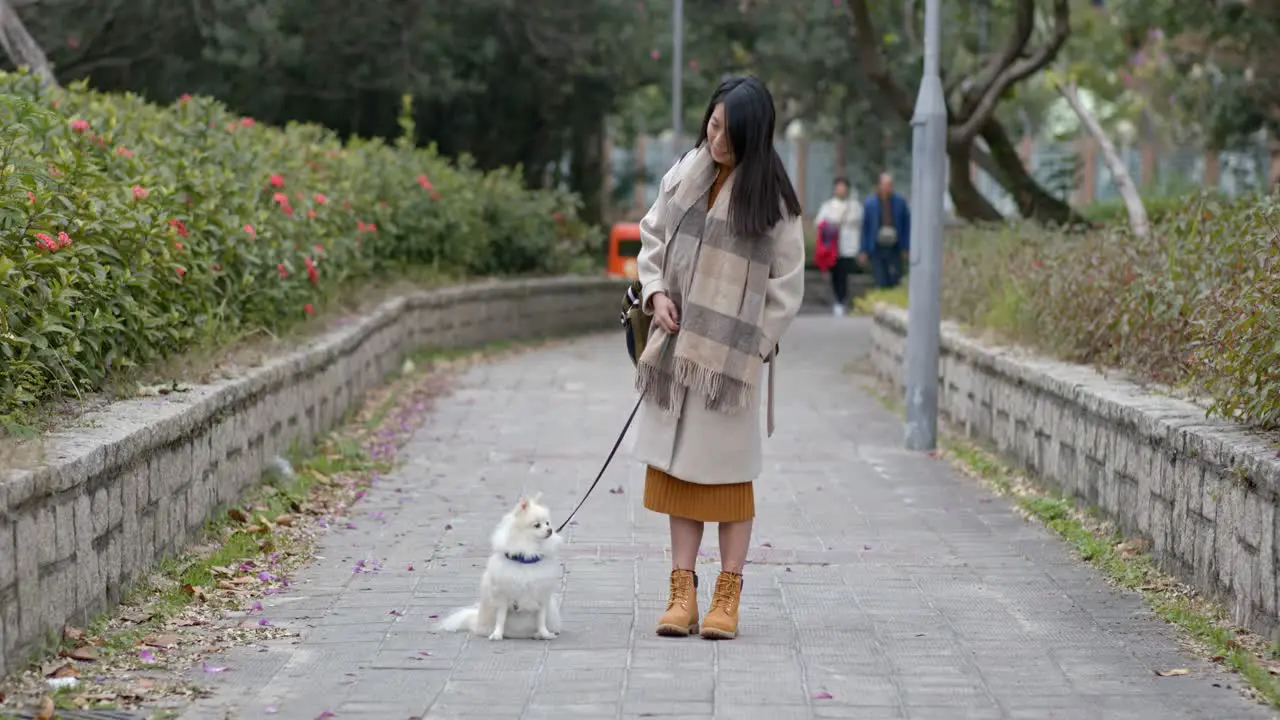 Woman and dog in the street