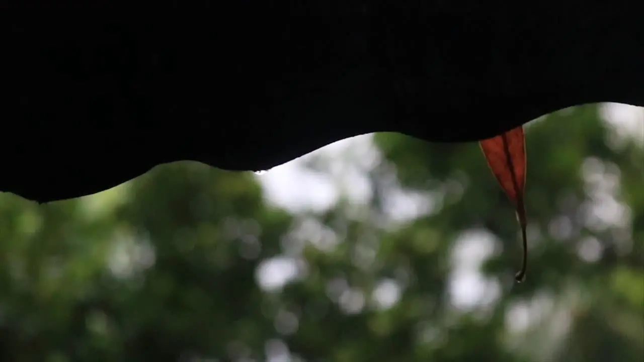 A leaf hangs off the roof as raindrops fall to the ground