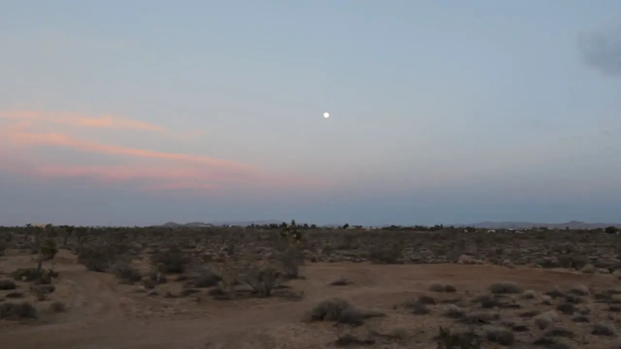 desert landscape at night moon