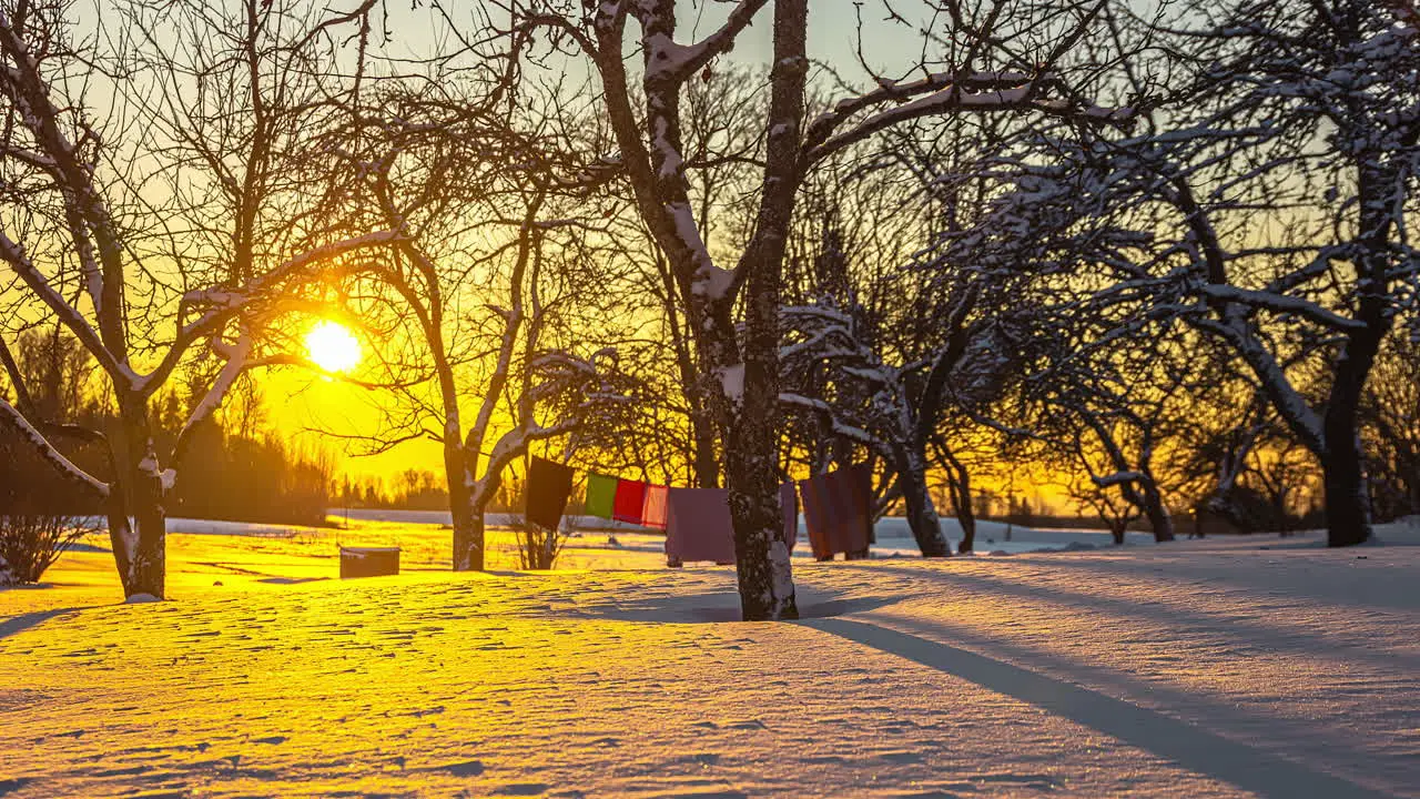 Sun and tree shadows move across snow landscape washing line