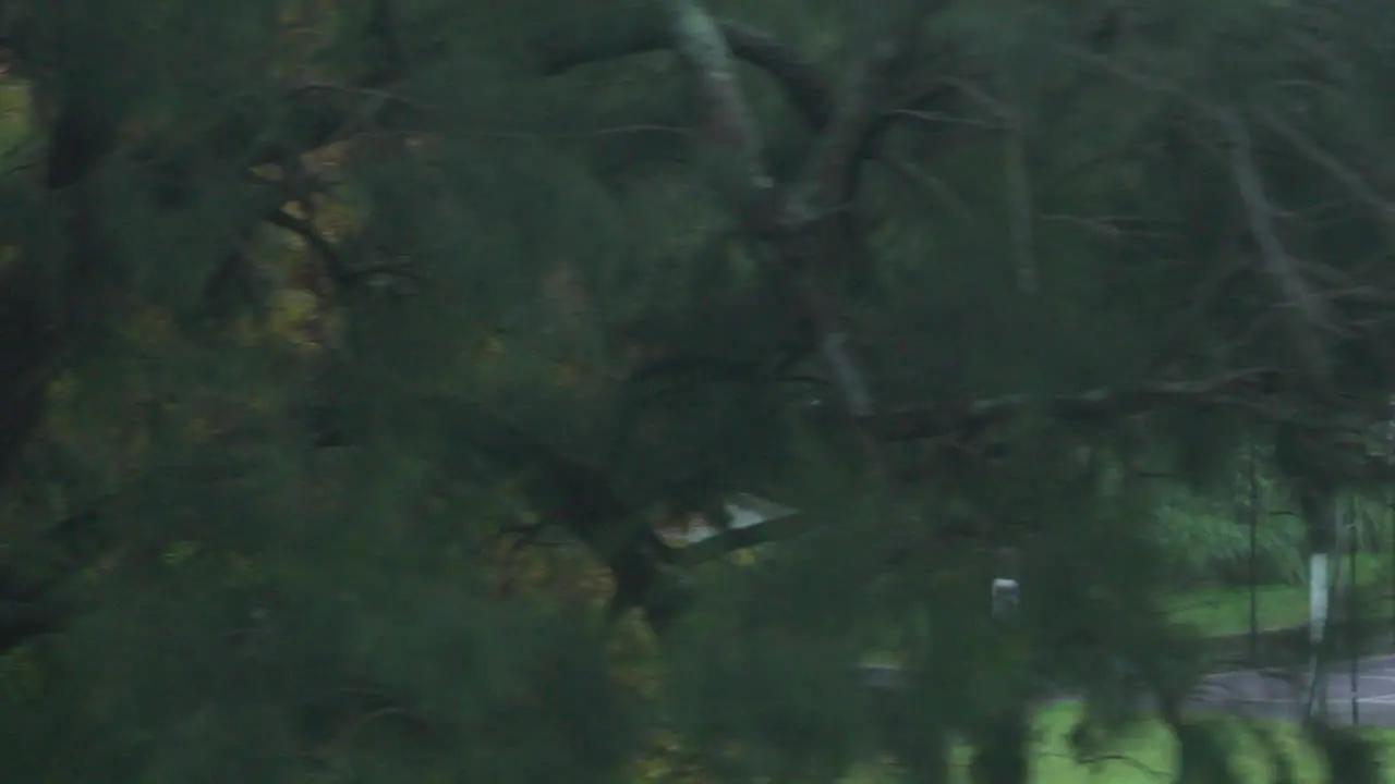 Filming out of a train window during the early dawn passing a skate park in Sydney Australia