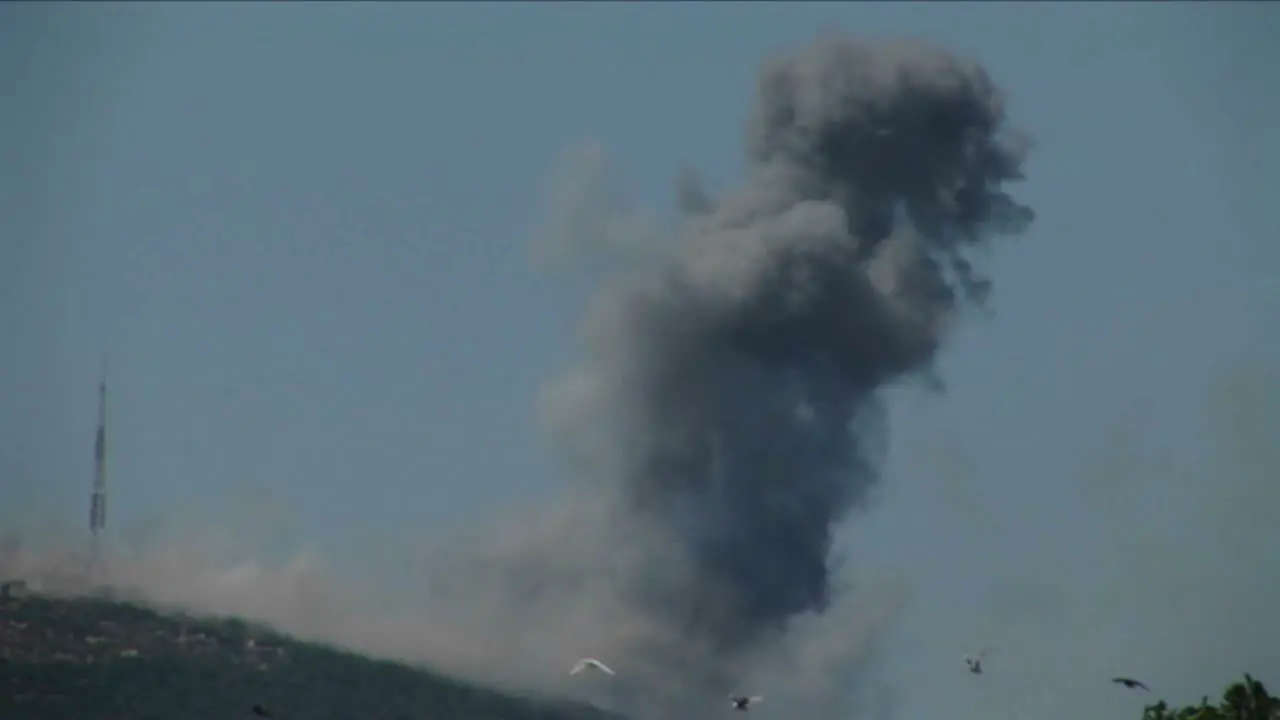 Birds fly from trees as a plume of smoke rises from a rocket attack in the Israel Lebanon war