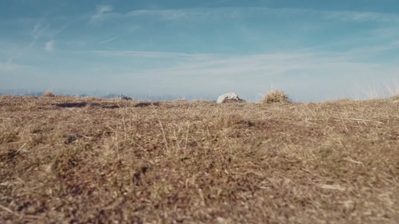 Man walking in the mountains