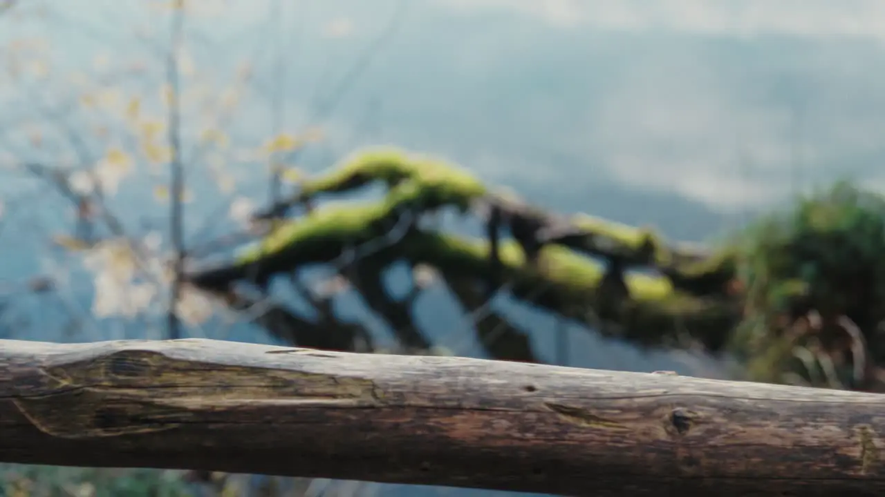 Man walking near a lake while grabbing a handrail