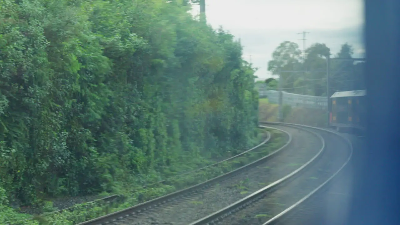 POV Filming out of a train window during the early dawn as it passes overgrown hedgerows in Sydney Australia