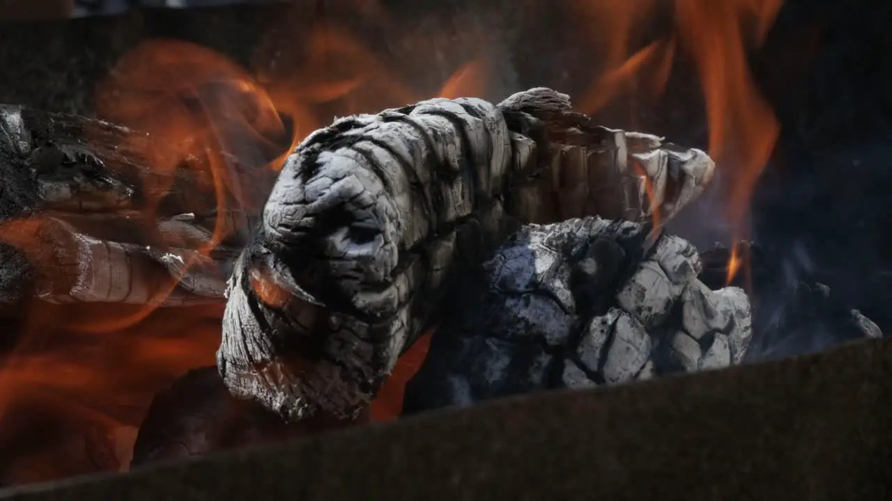 Close up of logs burning on an open fire before cooking