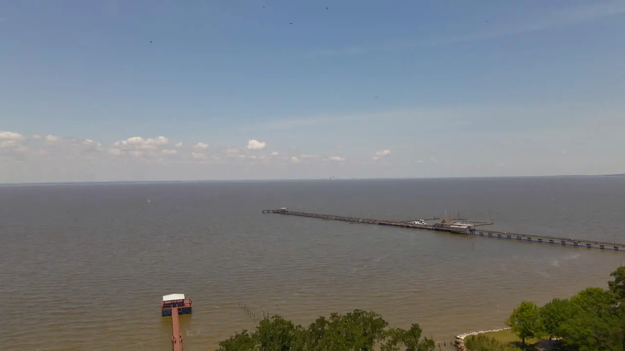 Birds flying at the drone on the bay in Fairhope Alabama