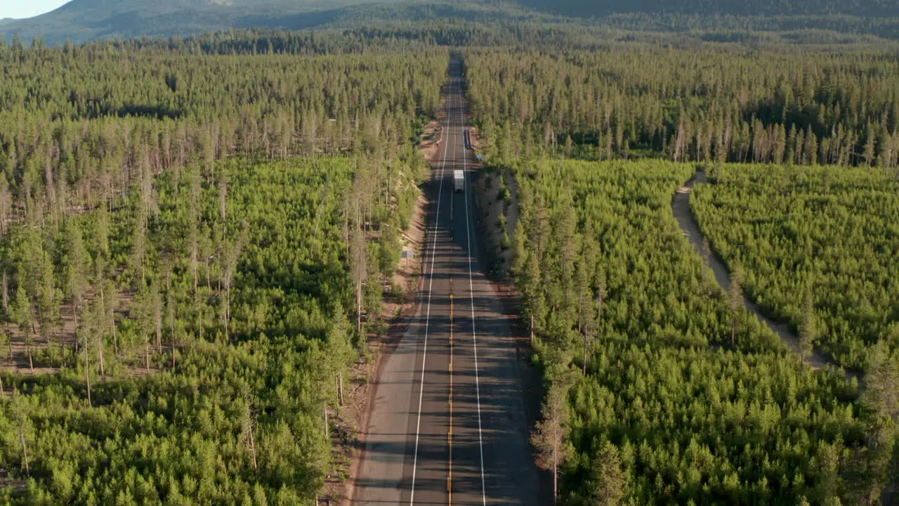 Aerial shot over truck driving on a straight road through pine forest