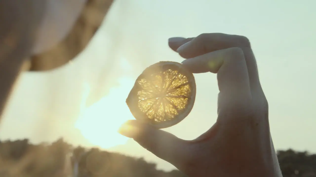 Orange slice in the light of golden sunset