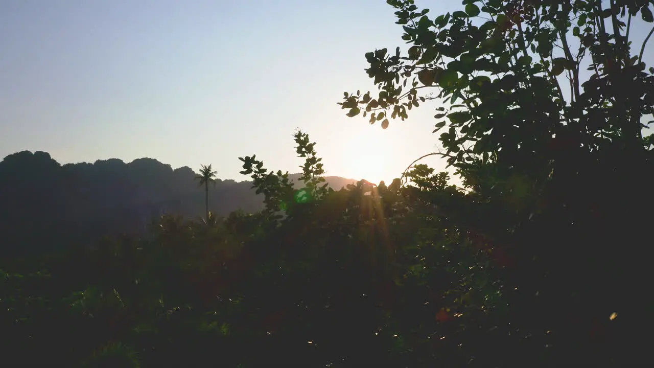 Sun rising over lush tropical palm jungle and mountains in Thailand