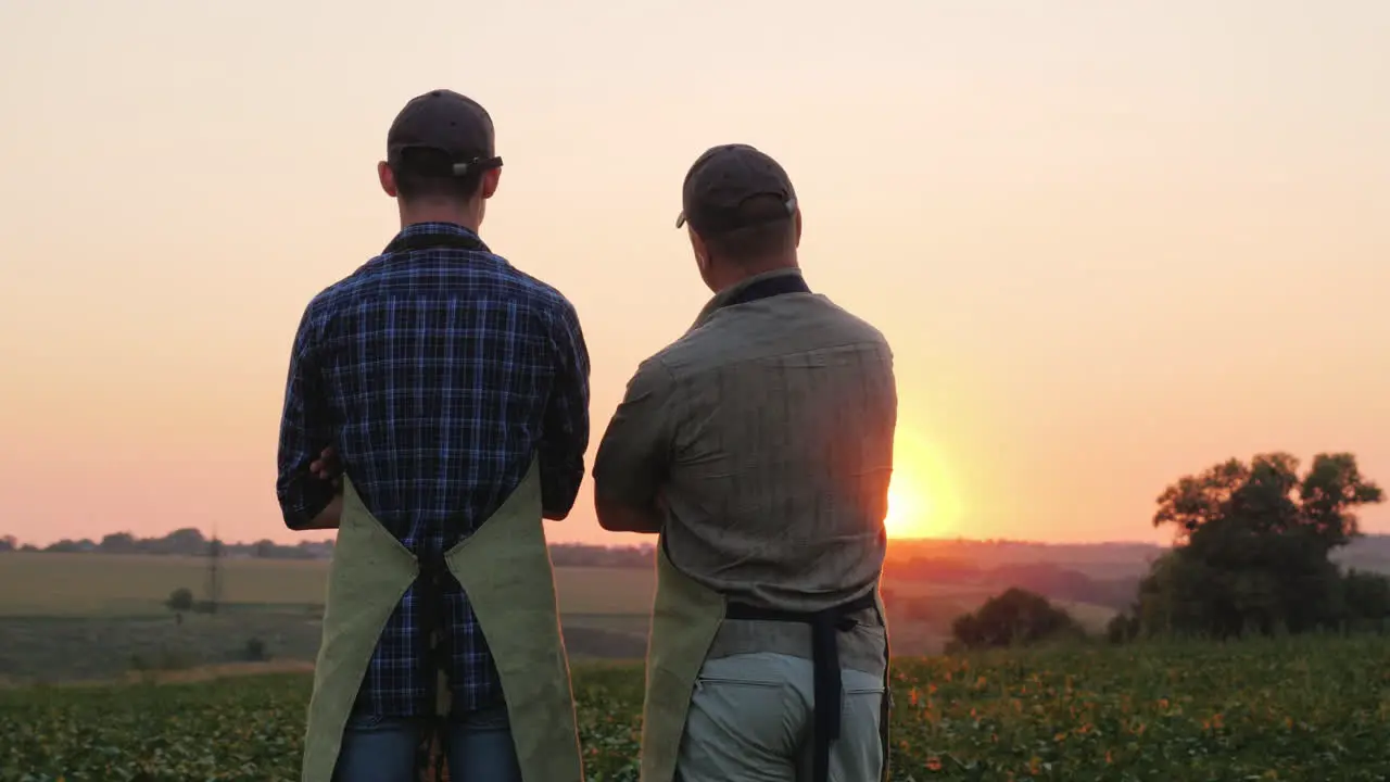 Two Farmers Father And Son Are Standing On The Field Looking Into The Distance Back View