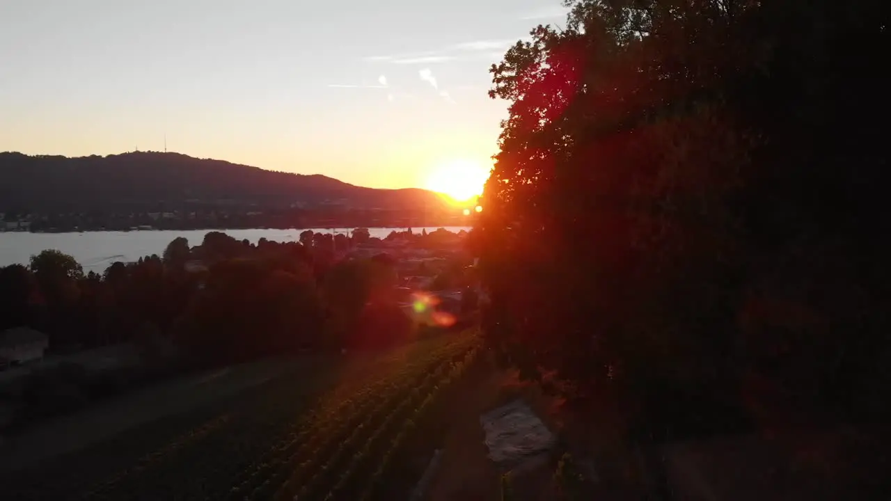 Beautiful aerial drone shot rising sideways with the sunset through the trees revealing the city of Zürich Switzerland