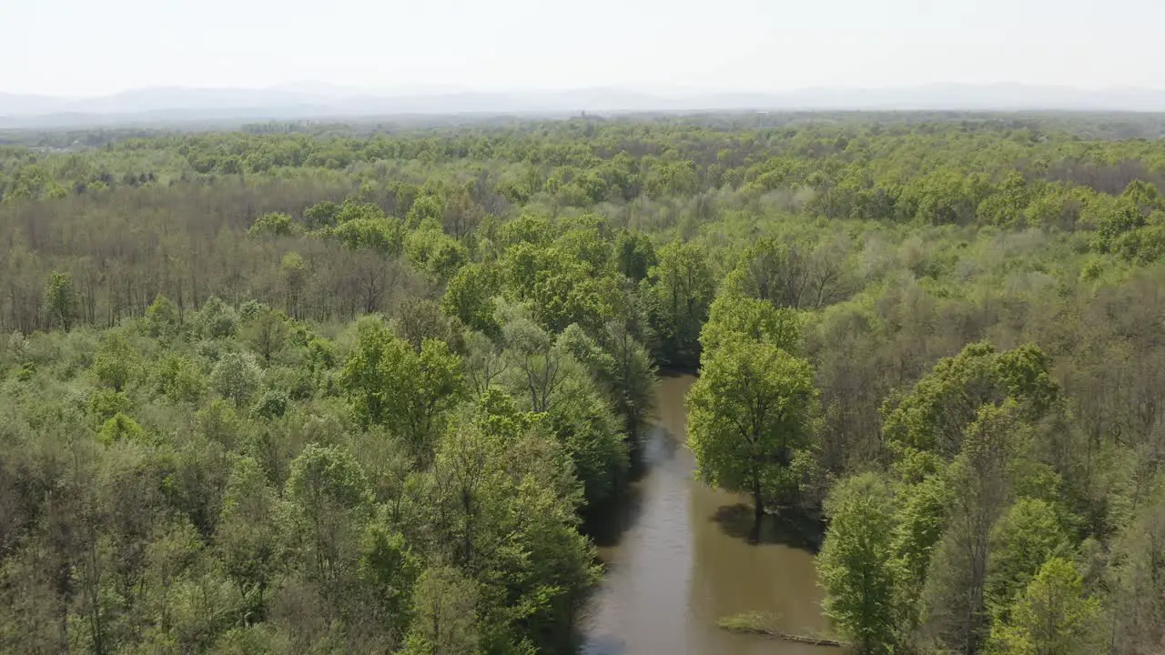 Flying with a drone above the lake in the middle of forest