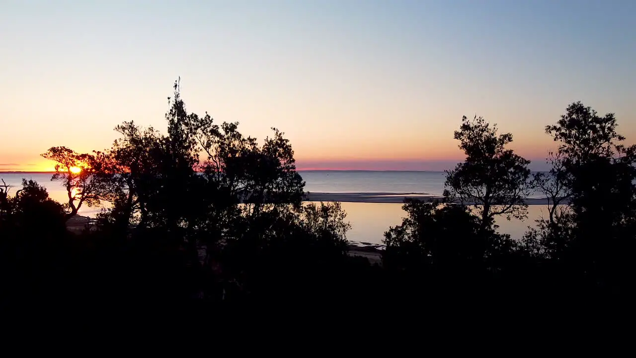 revealing sunset over treetops with dogs running through the shallow waters of a bay