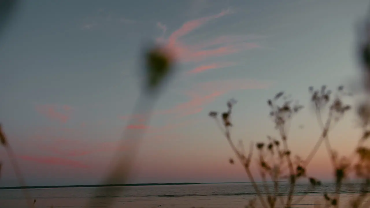 Point of view shot of walking through beach flower with sky meeting horizon at background