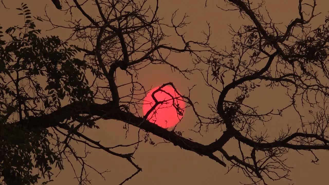 A Hazy Sun Illuminates The Destruction Following The Disastrous Dixie Fire In Northern California