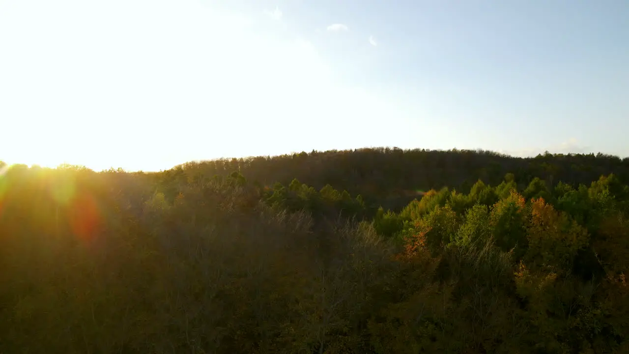 Forest Landscape With Sun Beam In Witomino Gdynia Poland During Sunrise Aerial Tilt-Down Shot