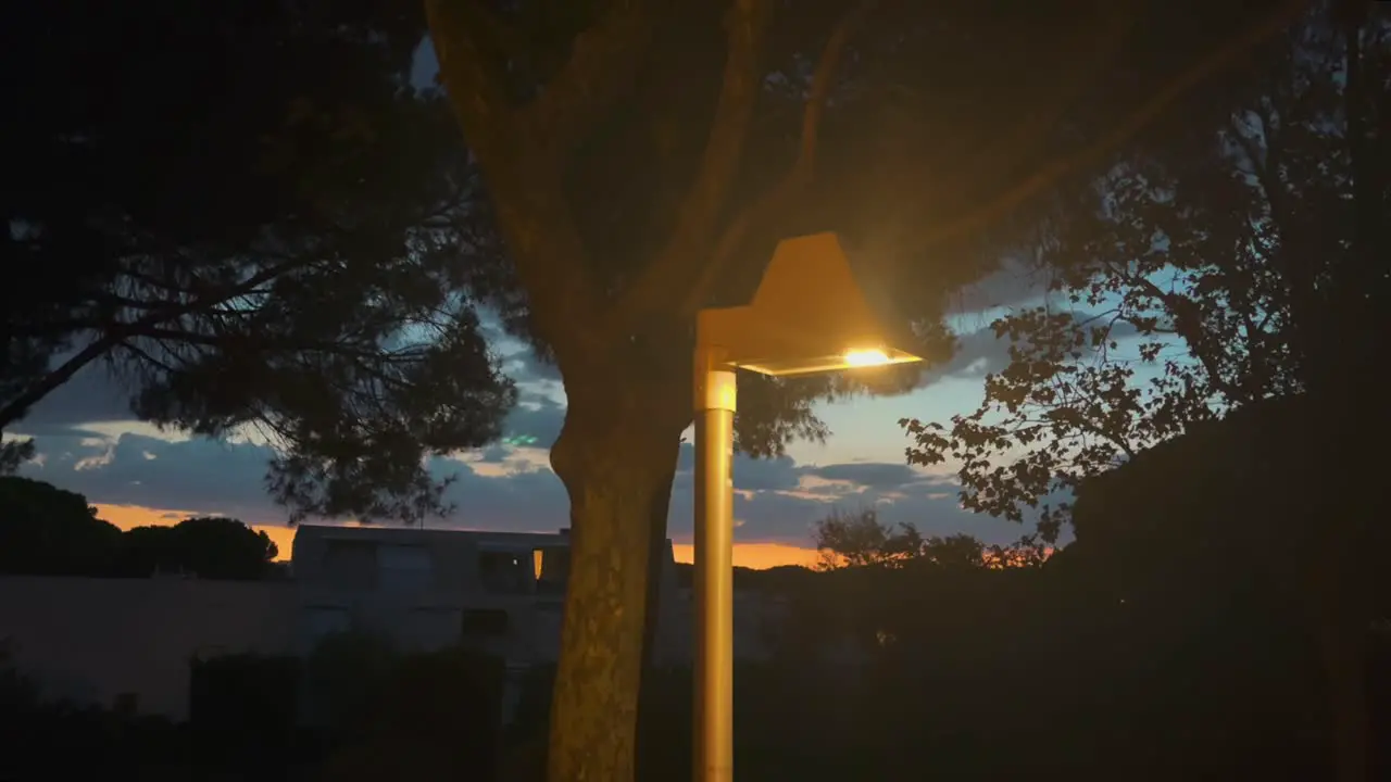 Street lamp on the park at sunset