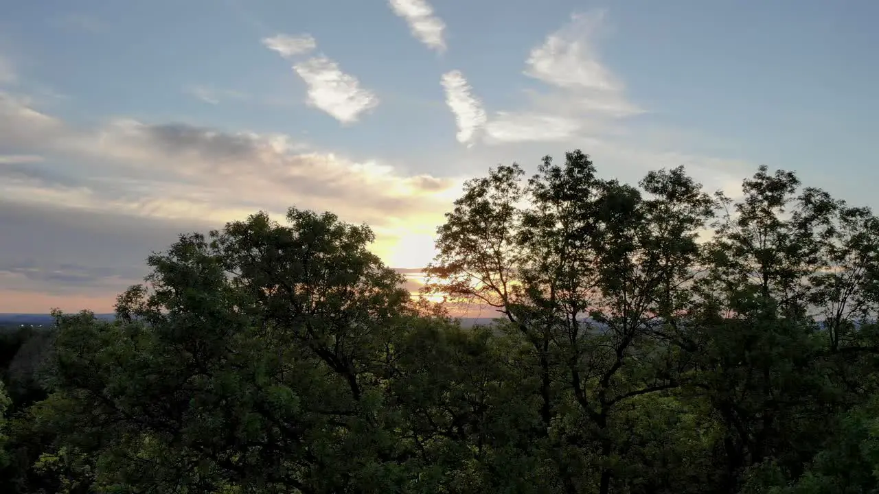 Beautiful sunset and sky looking through canopy of trees