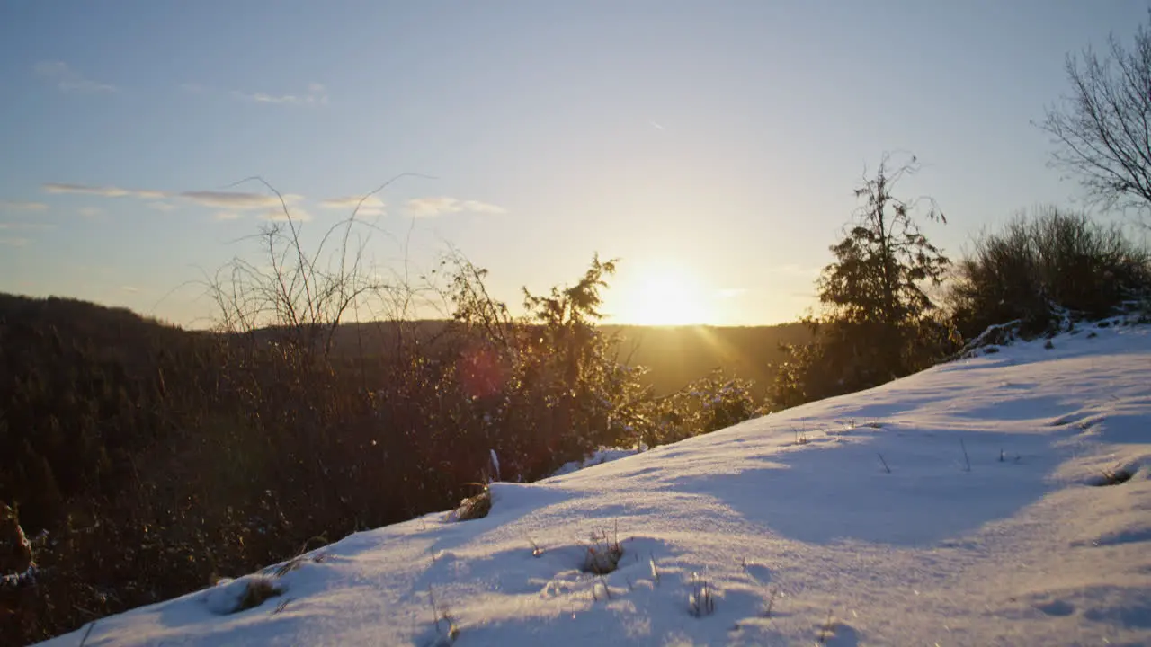 Low angle shot of walking in the snow camera moves forward towards some trees into the sun