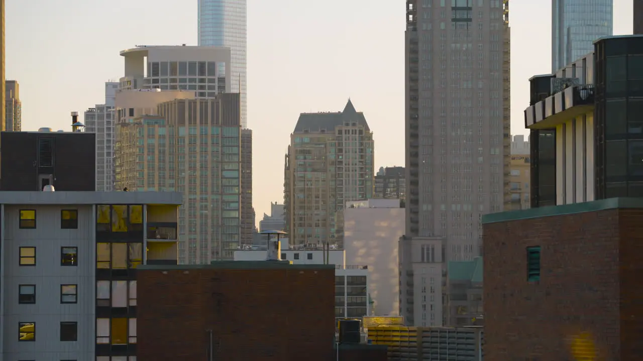 Downtown Chicago in golden hour light