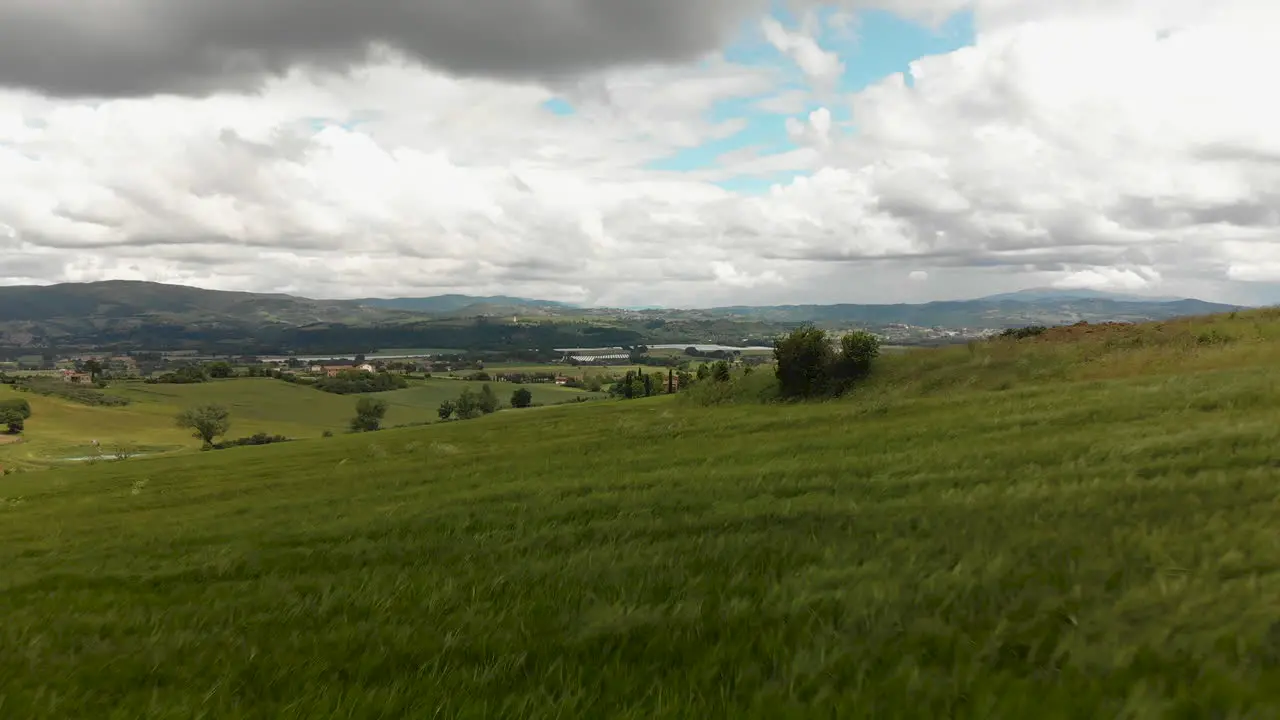 Drone shot Italian landscape with swaying wheat fields 4k