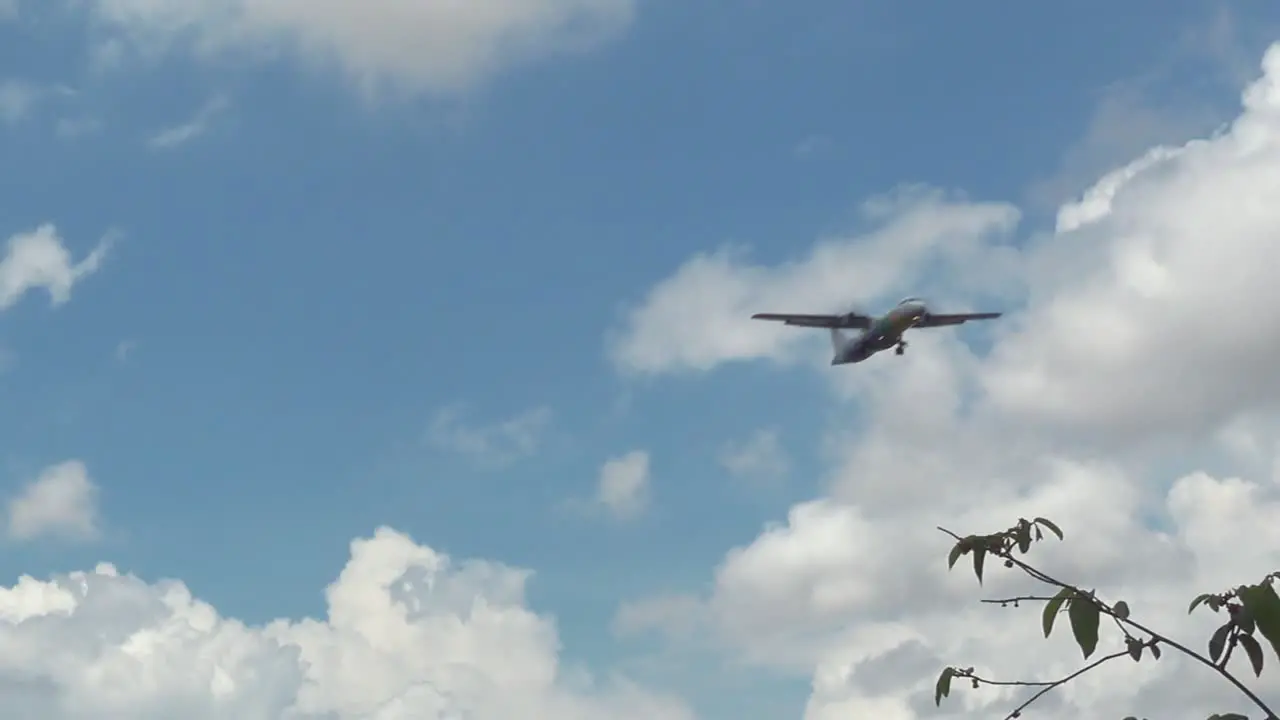 Plane Taking Off Over the Trees on a Sunny Day