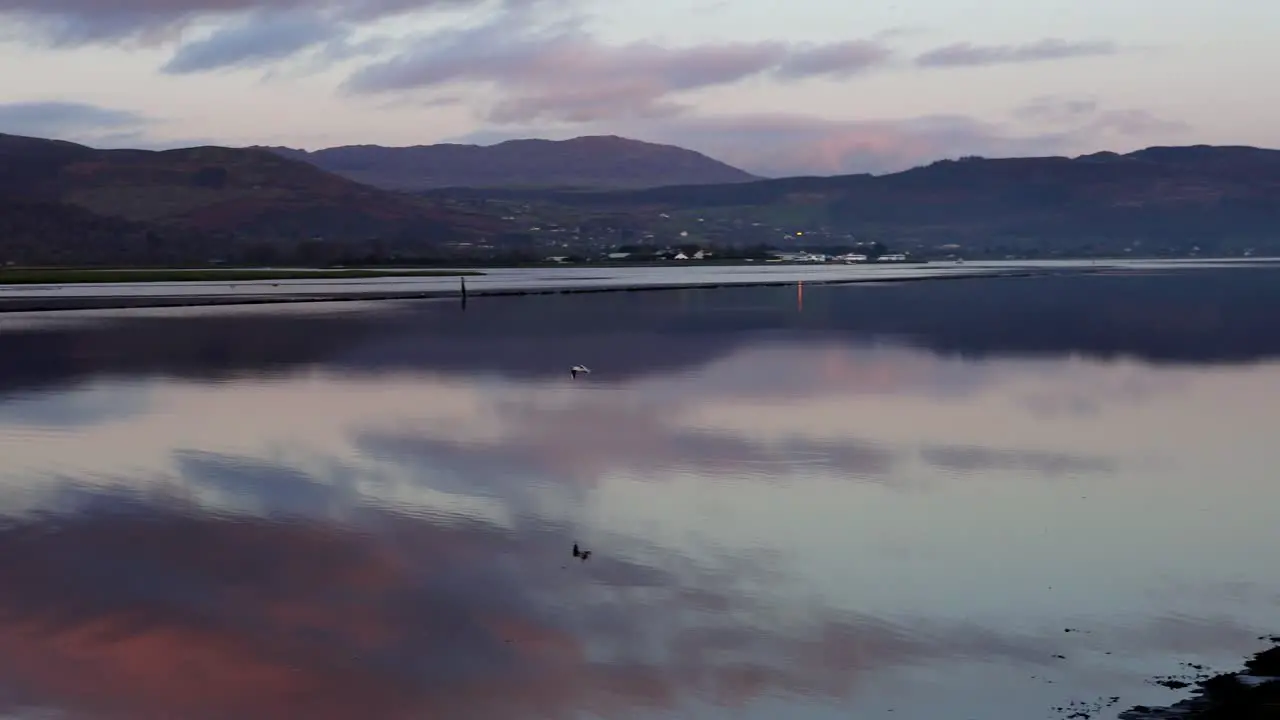 View of a bird flying above the water beautiful weather dusk orange sky and clouds reflected in the water