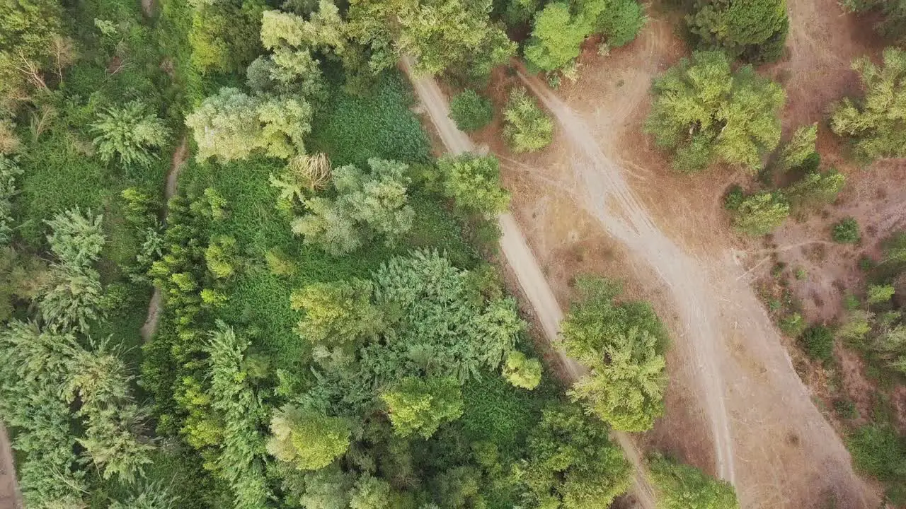 Aerial top down shot of a forest with lots of green trees and vegetation