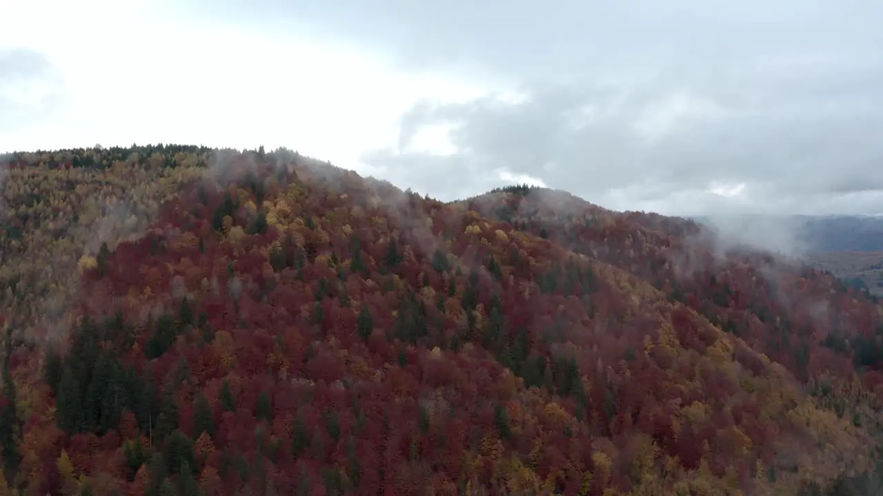 Mist over dramatic red autumn forest Carpathian Mountains Romania