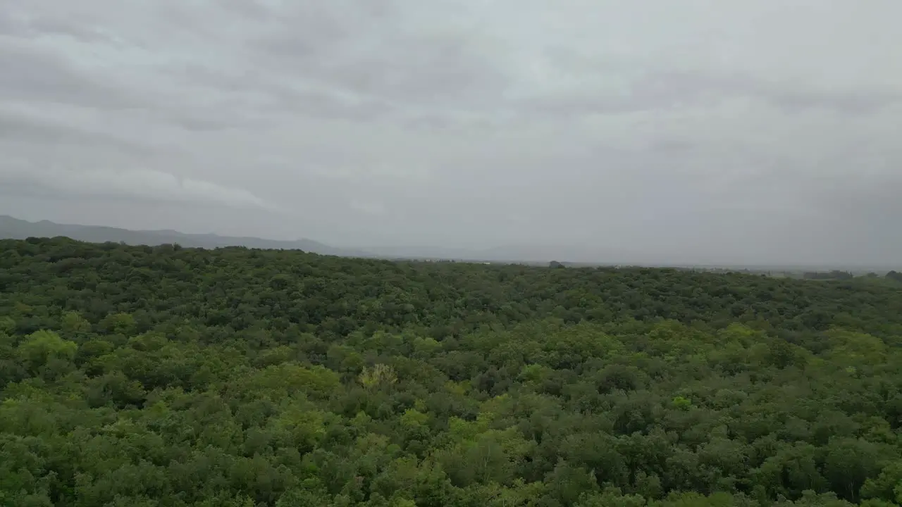 woodland Cloudy sky over olive grove Tuscany Italy