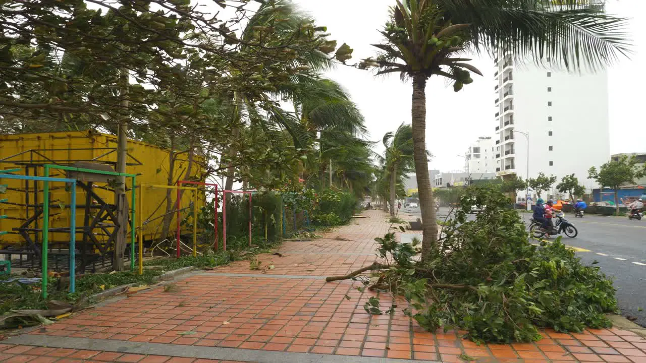 Aftermath of Tropical Storm Broken Trees and Wet Streets of Da Nang City Vietnam