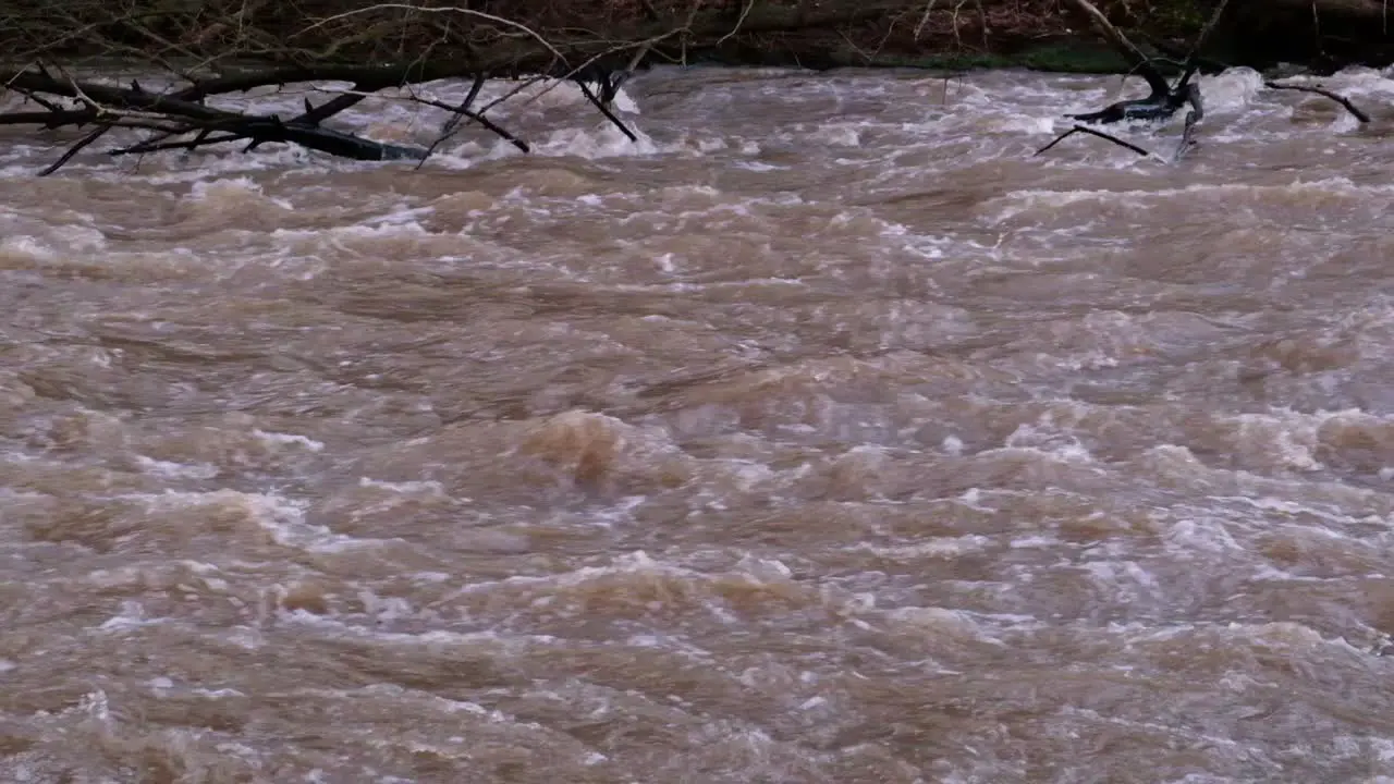 Zoomed in super slow motion of a brown fast flowing powerfull river with broken fallen trees