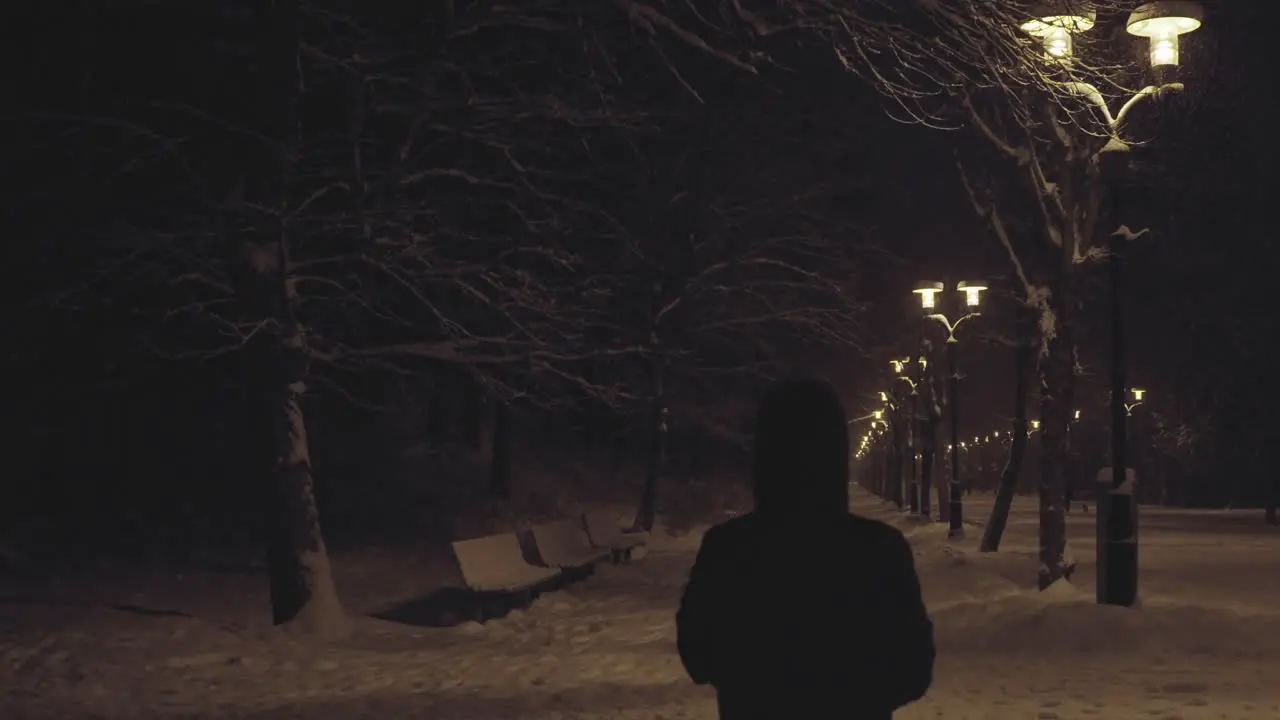 Person Walking Middle Of Trees And Street Lanterns At Night In City Park In Winter Season