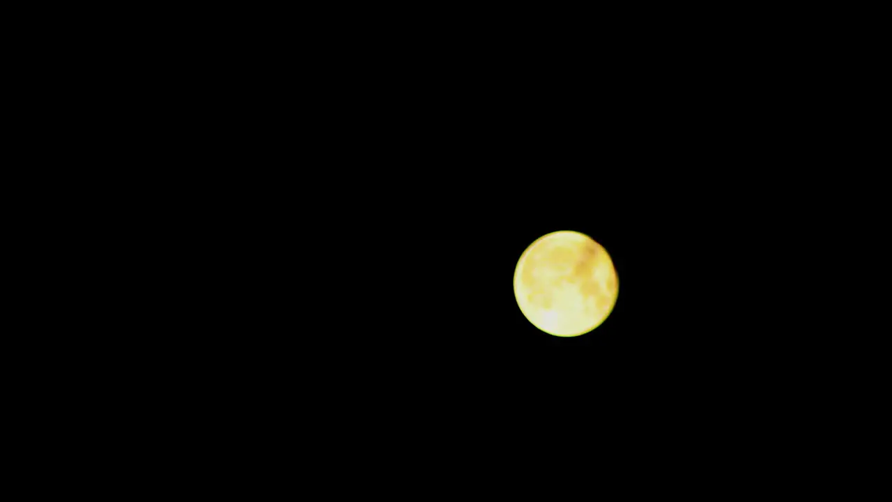 Full Moon Fades Behind Tree Branches