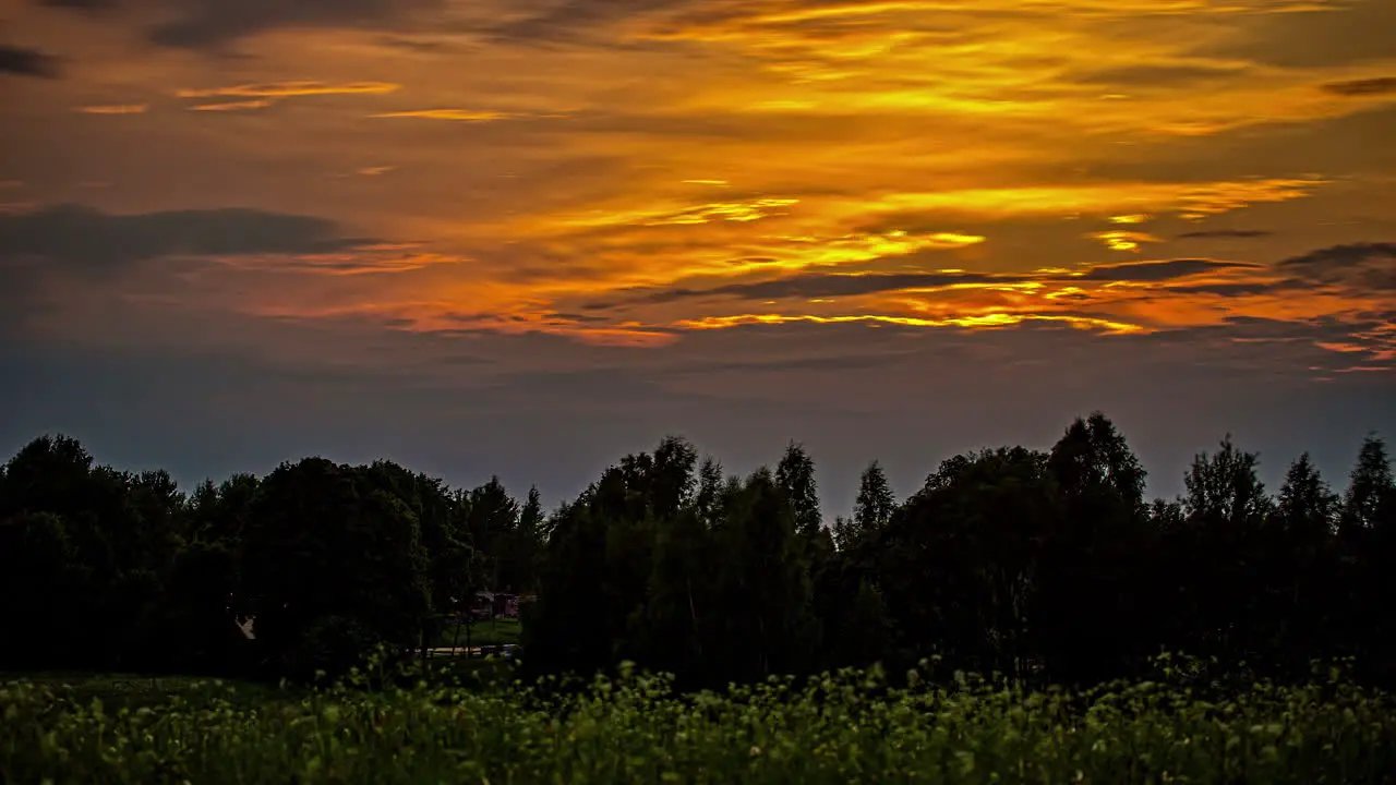 The golden sun glows over the forest then sets beyond the trees time lapse