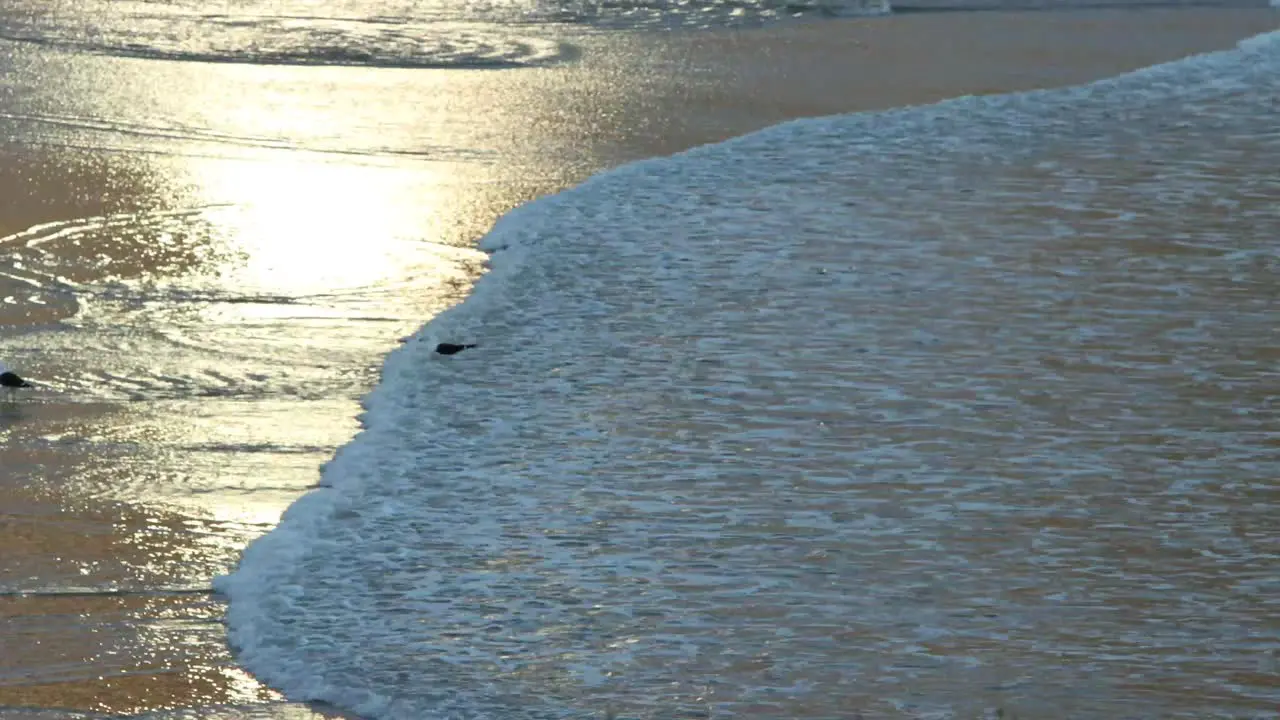 The beach at Sunset on the South African coast