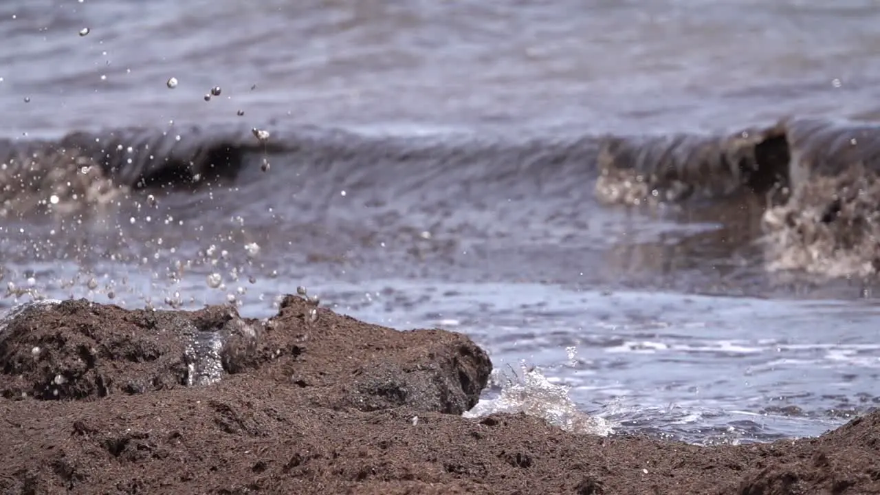 Black wave with dead algae contamination slow motion