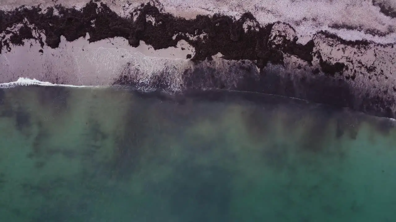 Birds eye view of waves breaking onto a beach filled with seaweed