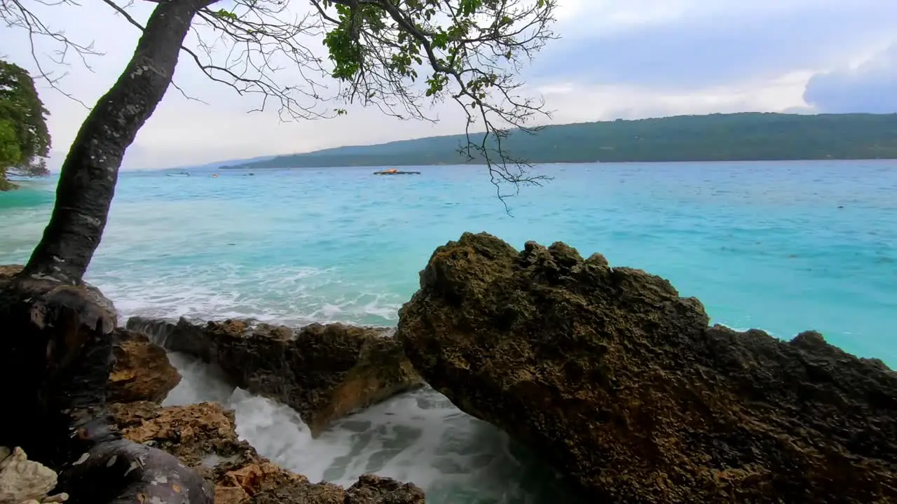 huge waves splashes into rocks under the tree